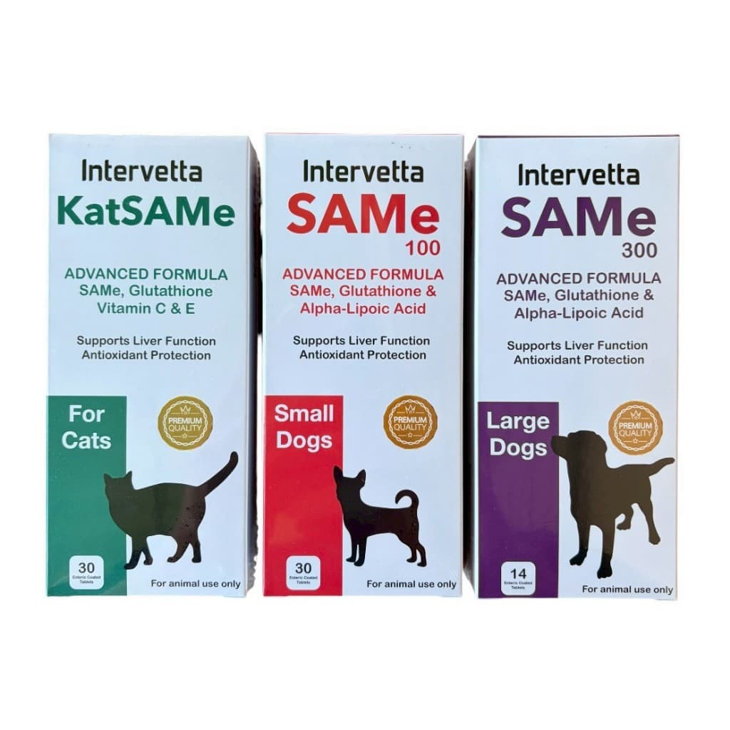 KatSAMe Intervetta หมดอายุ 8/2026 บำรุงตับ เสริมการทำงานของตับในแมว รูปที่ 4