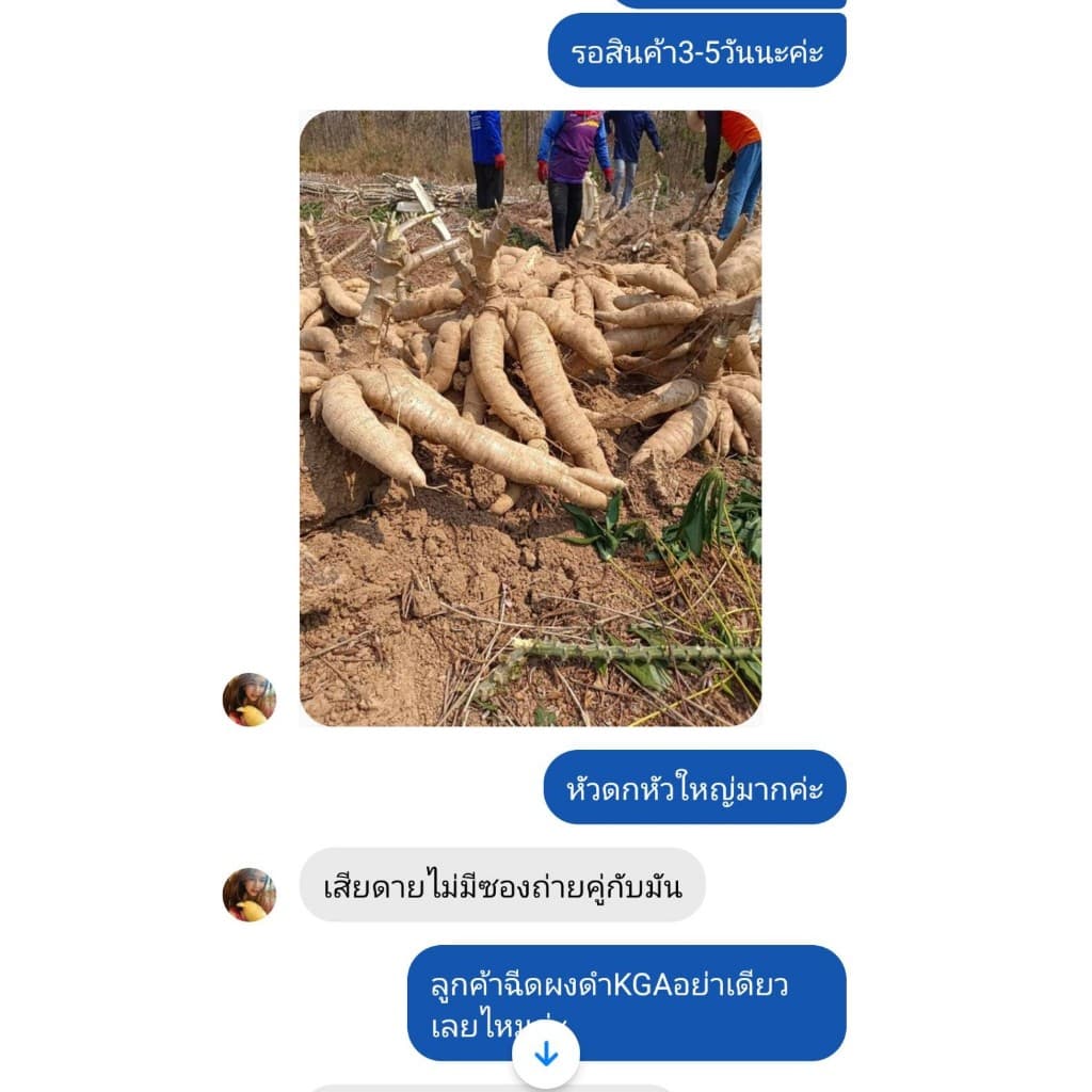 KGA อาหารพืชทางใบ ผงดำ 100 ซอง แถมน้ำสีทอง 1 ขวด รูปที่ 8