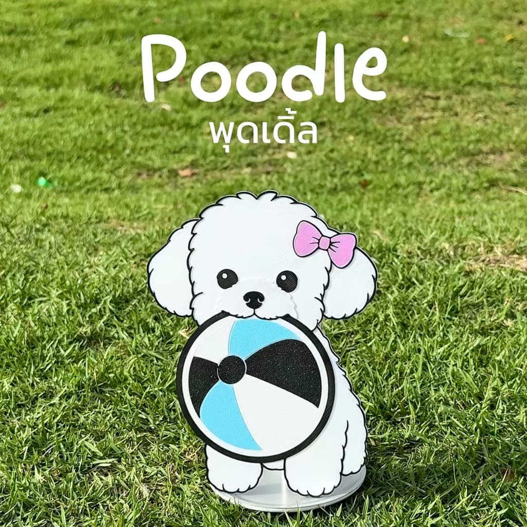 Dogcha Collection - Case Matcha Sifter เคสตะแกรงร่อนมัทฉะ 2 in 1 รูปที่ 6