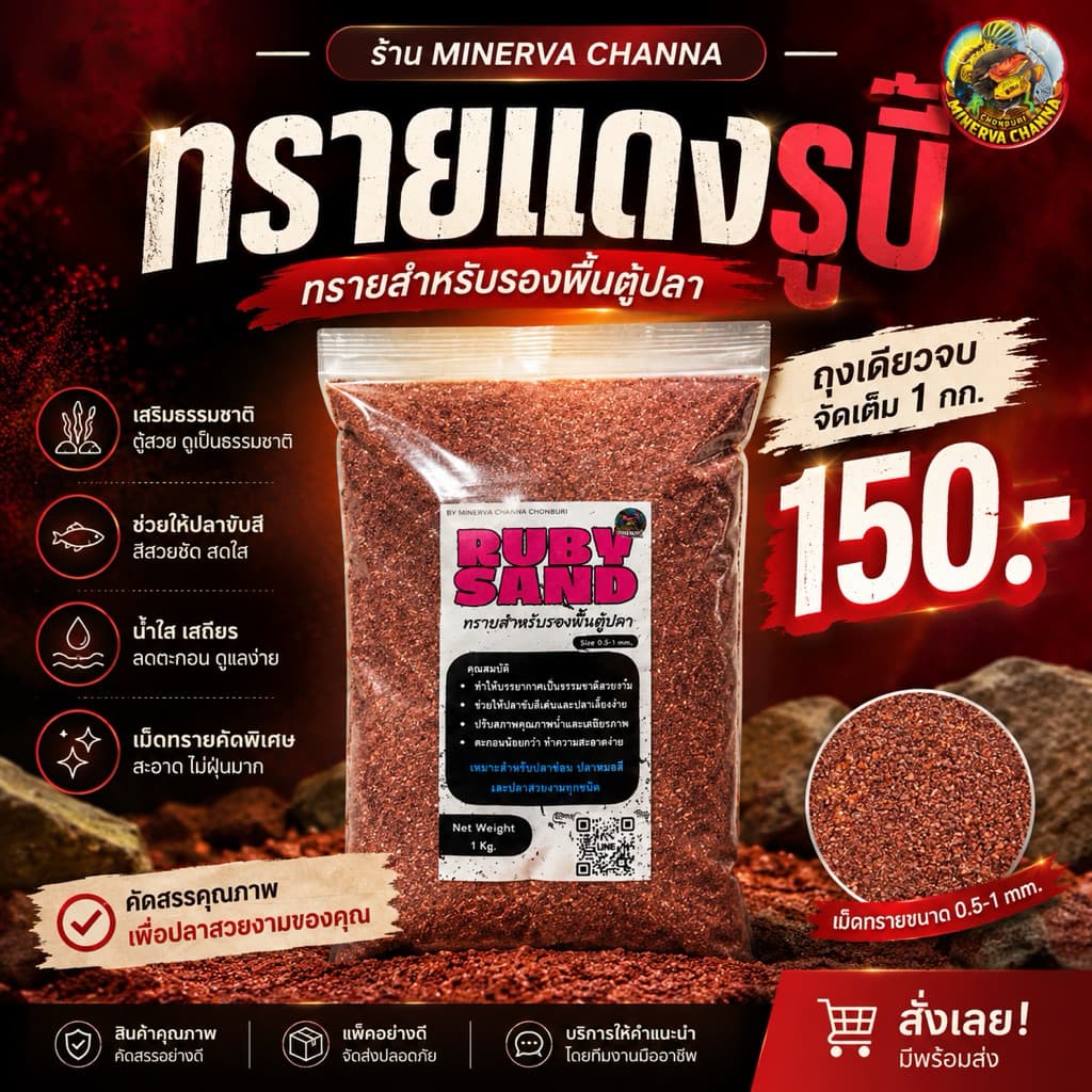 ทรายแดงรูบี้สำหรับรองพื้นตู้ปลา รูปที่ 1