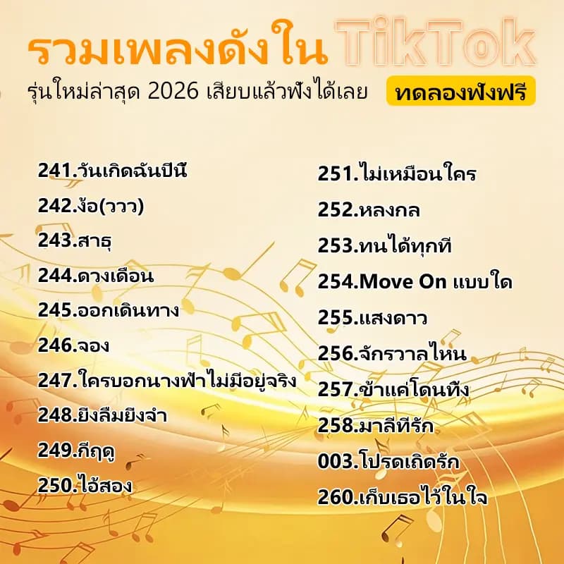 แฟลชไดร์ฟเพลงรถยนต์ 260 เพลงดัง TikTok ขับรถเพลินไม่ต้องง้อเน็ต เสียบใช้งานง่าย เสียงคมชัด 100% รูปที่ 6