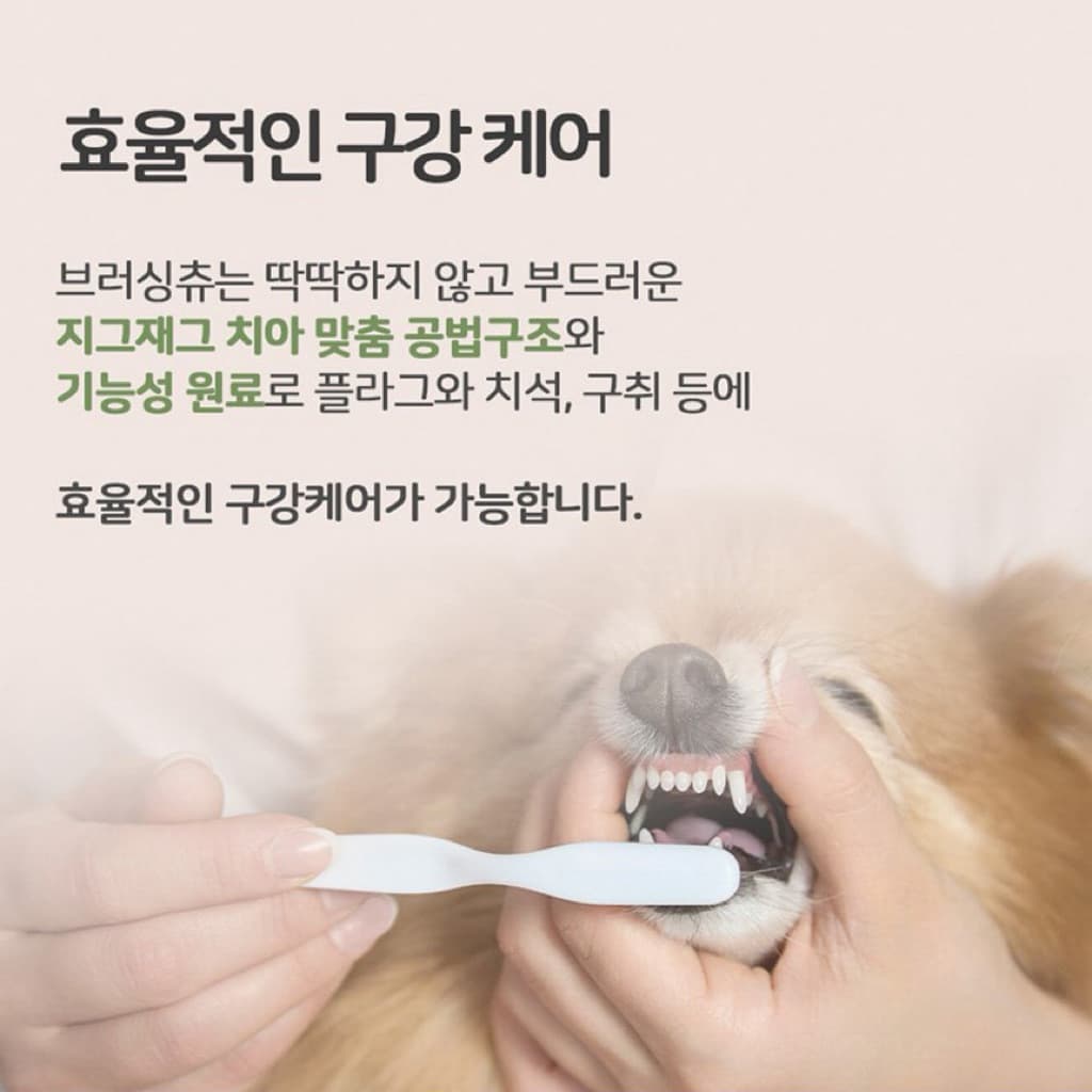 Nuter’s Garden ขนมขัดฟันสุนัข ผสมเอนไซม์สับปะรด บำรุงฟัน ช่วยขัดฟัน รูปที่ 2