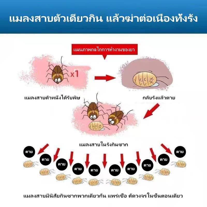 8 เม็ด/กล่องยาฆ่าแมลงสาบ เหยื่อล่อกำจัดแมลงสาบ หายขาด ปลอดภัยสำหรับเด็ก ใช้ได้ทั้งครอบครัว สัตว์รบกวน ได้ผล 100% รูปที่ 5