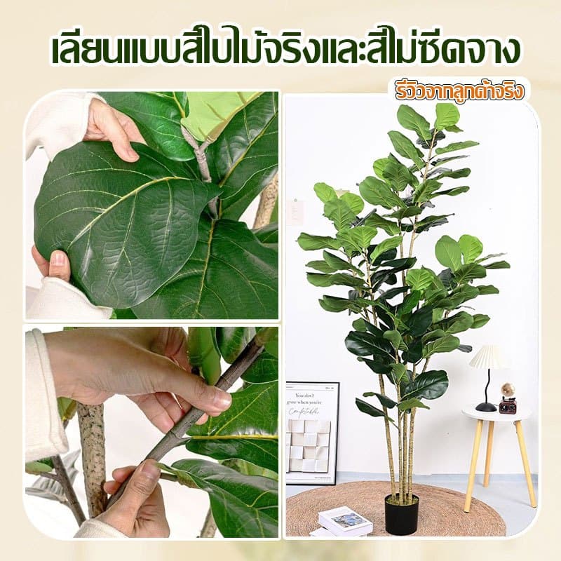 ต้นไม้ปลอม ต้นไม้ปลอมใหญ่ 120- 2กิ่ง/160-3กิ่ง/180cm-4กิ่ง สำหรับตกแต่งบ้านและสว รูปที่ 6