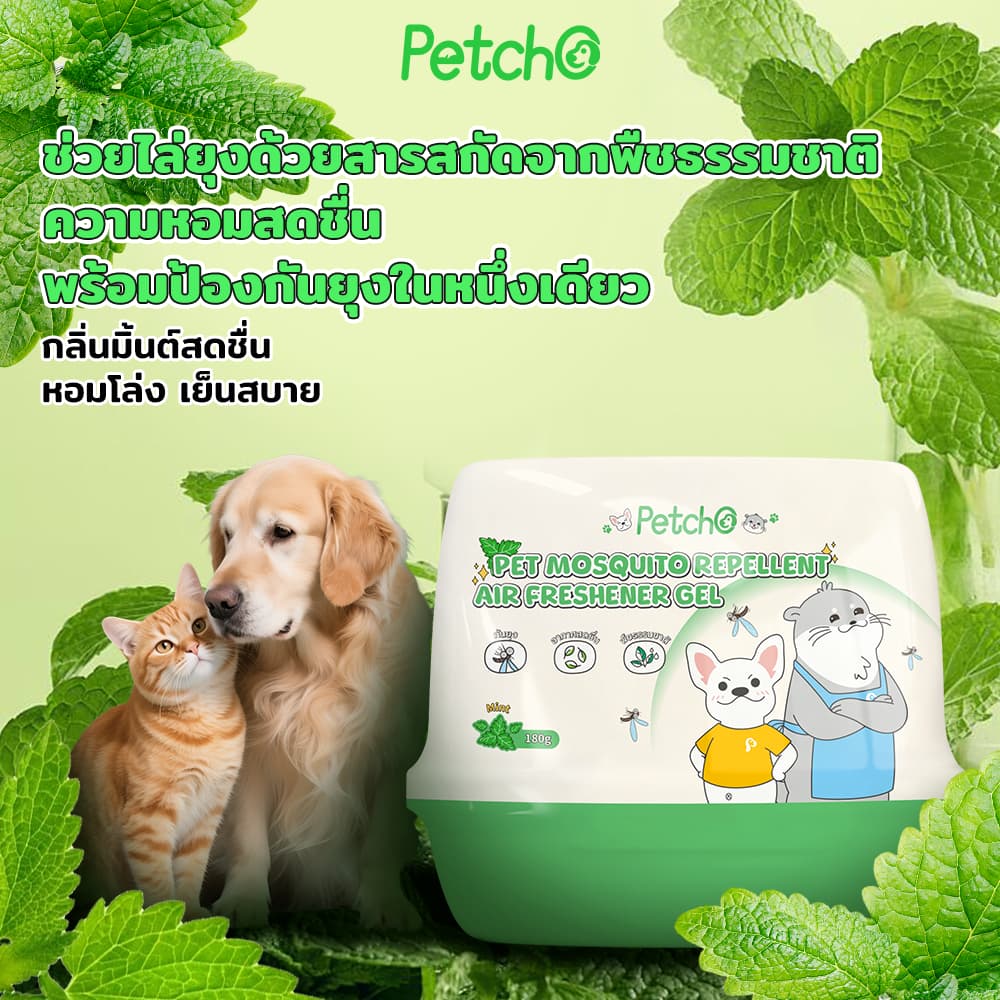 Petcho เจลหอมปรับอากาศไล่ยุง 2-in-1 หอมสดชื่น ช่วยไล่ยุง สารสกัดจากพืชธรรมชาติ รูปที่ 6