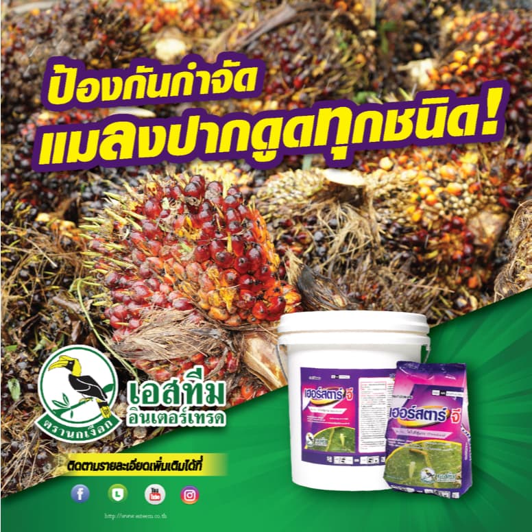 ขนาด 1 กก. เฮอร์สตาร์จี เอสทีม สารไดโนทีฟูแรน ป้องกันแมลง เพลี้ย กำจัดแมลงในดิน รูปที่ 2