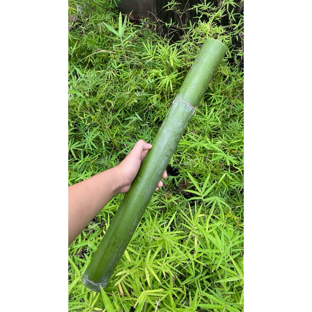 กระบอกไม้ไผ่ยิ้มแย้ม1ชิ้น สำหรับงานDIY แจกันและตกแต่ง ขนาด55-70cm หอมกลิ่นไผ่อ่อนๆตัดสดใหม่จากกอ รูปที่ 3