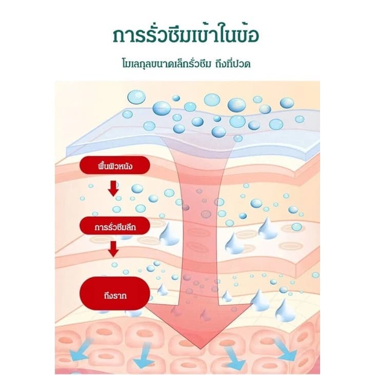 Lumbar Spine เจลประคบเย็นกระดูกสันหลังปวดข้อ Ointment Lumbar Disc Herniation บรรเทาอาการปวดข้อปากมดลูก 20g รูปที่ 8