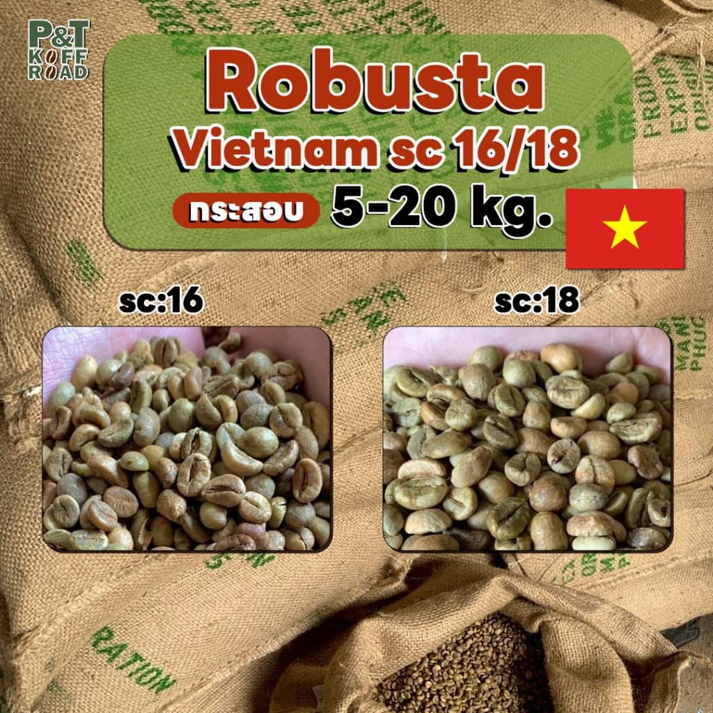 สารกาแฟโรบัสต้าเวียดนาม SC16-18 | Dry Process or Natural Process P&T KoffRoad รูปที่ 1