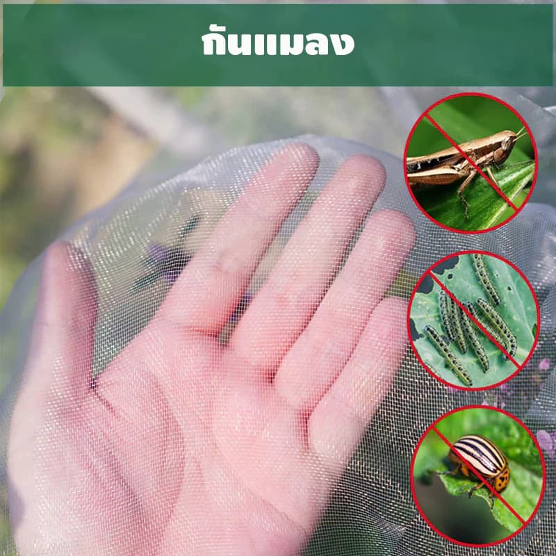 มุ้งขาวกันแมลง มุ้งขาว มุ้งขาวโรงเรือน 32ตา/40ตา/60ตา มุ้งกันแมลงผัก ตาข่ายกันแมลง มุ้งโรงเรือน กันแมลง มุ้งปลูกผัก รูปที่ 3