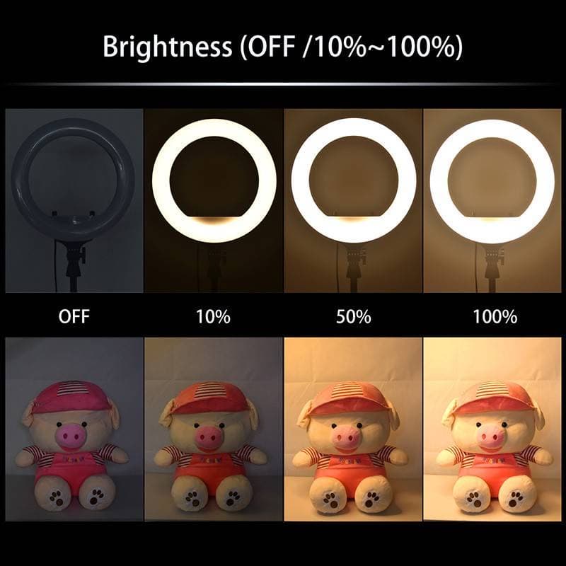 ไฟวงแหวน 16-45CM LED Ring Light ชุดไฟไลฟ์สด+พร้อมขาตั้ง2.1m ปรับได้3สี ปรับได้360°ทิศทา ไฟสตูดิโอ ขาตั้งกล้องมือถือ รูปที่ 2
