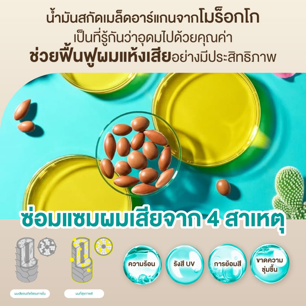 MOROCCAN BEAUTY DEEP MOIST SHAMPOO 430 ml. โมร็อกแคน บิวตี้ ดีพ มอยส์ แชมพู รูปที่ 2