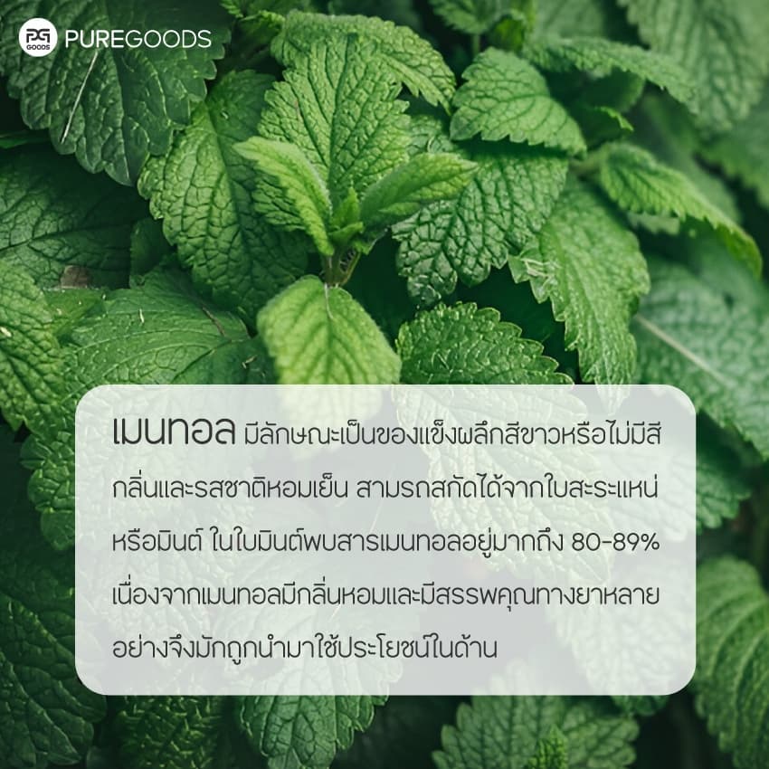 เมนทอล MENTHOL CRYSTAL Net weight 100G | 500G รูปที่ 2