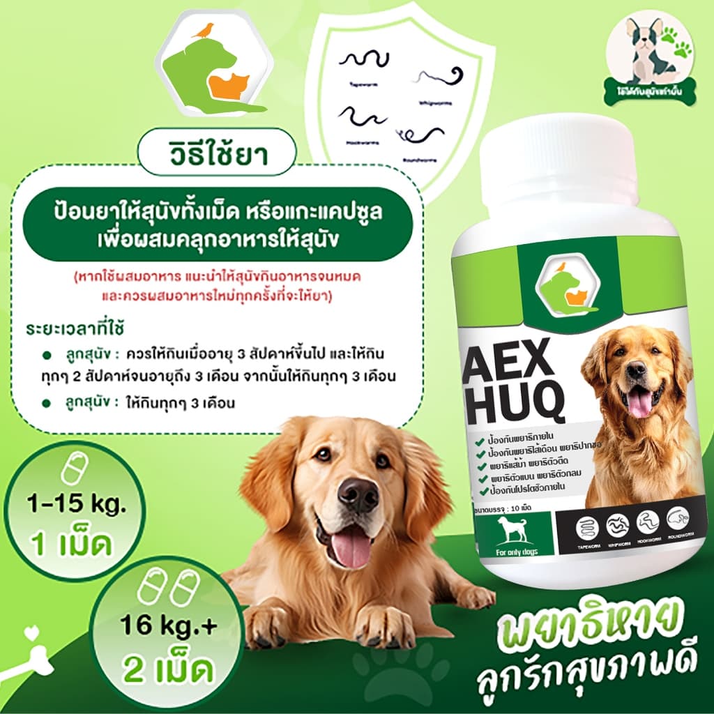 AEXHUQ เสริมอาหารสัตว์เลี้ยง สร้างภูมิคุ้มกัน ต่อต้าน ปรสิต พยาธิสุนัข ไข่ปริสิต สูตรสำหรับสุนัข รูปที่ 4