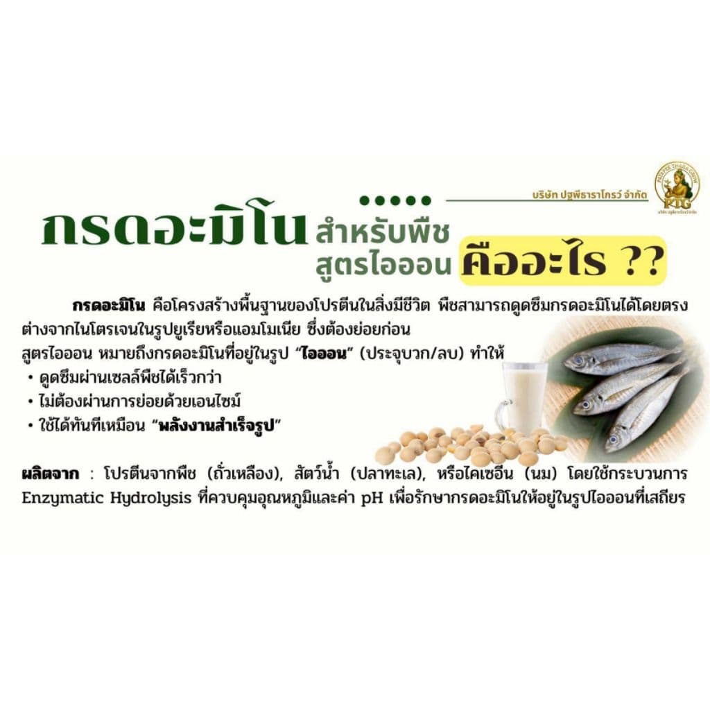 ชุดคู่หูมหัศจรรย์ปฐพีธารา สูตรดั้งเดิม รูปที่ 9
