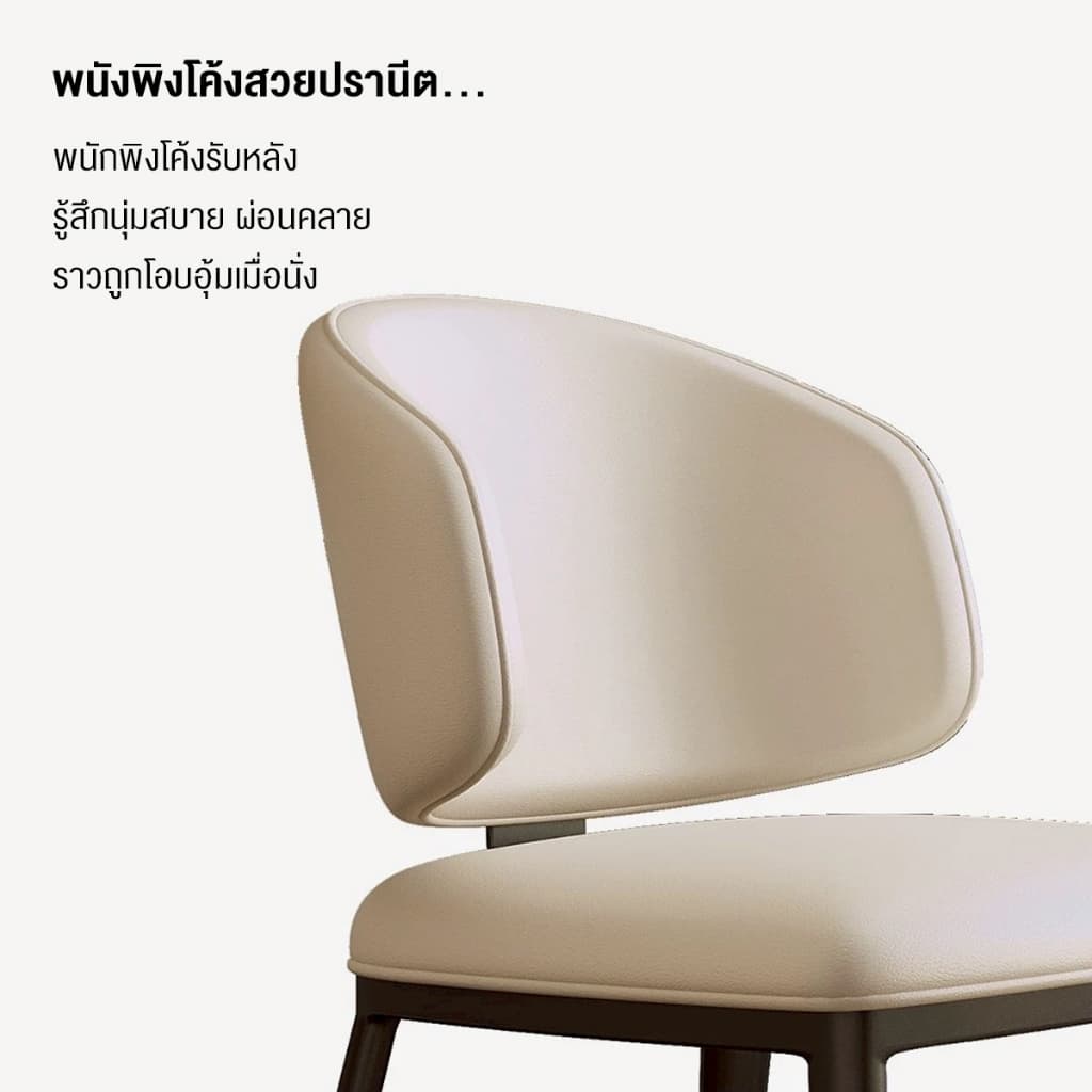 DUDEE เก้าอี้ รุ่น DD-244 เก้าอี้ขาเหล็ก แข็งแรง ทนทาน รูปที่ 6