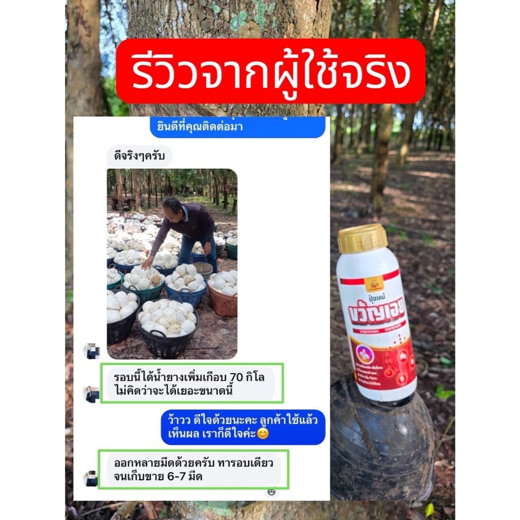 ยาทาหน้ายาง ปุ๋ยทาหน้ายางพรีเมี่ยม ธาตุอาหารเสริม เพิ่มน้ำยางและรักษายางตายนึ่ง รูปที่ 7