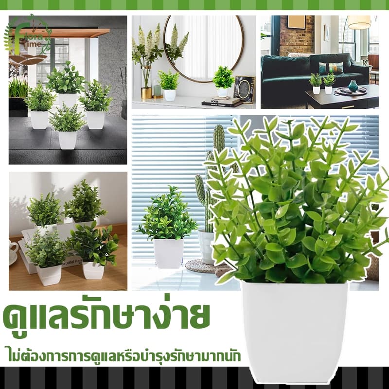 บอนไซเทียม ไม้ประดับ ดีไซน์โมเดิร์น ขนาดเล็ก สําหรับตกแต่งบ้าน สวน โต๊ะรับประทานอาหาร ห้องนอน รูปที่ 8