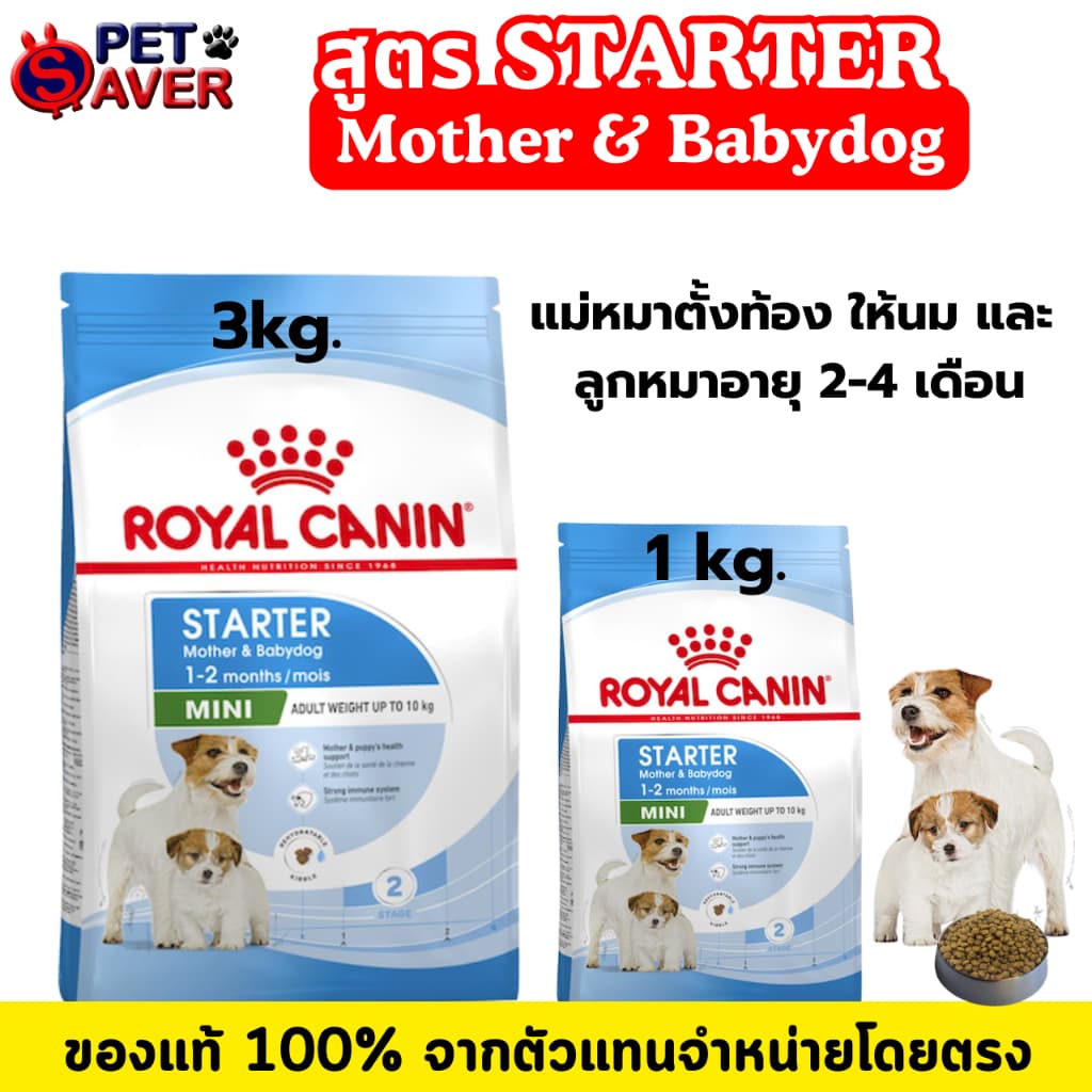 Royal Canin Mini Starter 3kg สำหรับ แม่สุนัข ตั้งท้อง และ ลูกสุนัข พันธุ์เล็ก 3 kg / 1kg. มี 2 ขนาด รูปที่ 1