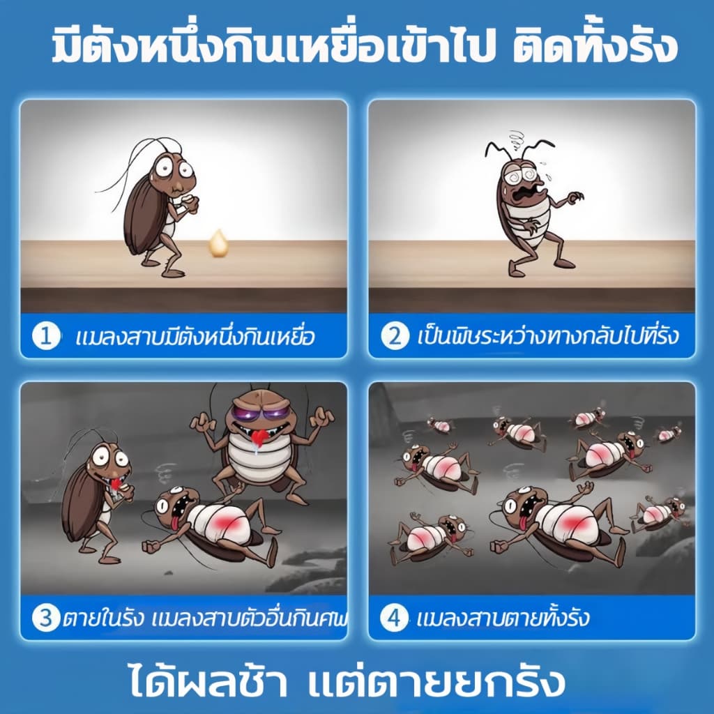 Beauty เจลฆ่าแมลงสาบ 8 เม็ด/กล่อง 1 เจลกำจัดแมลงสาบ ฆ่าแมลงสาบ ฆ่าทั้งรัง ล่อแมลงสาบ กาวน์ดักแมลง ป้องกันแมลงสาบ รูปที่ 3