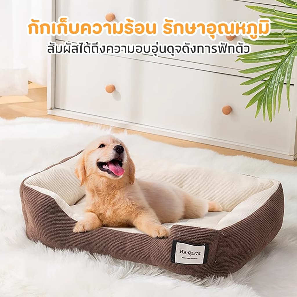 ที่นอนสุนัขสัตว์เลี้ยง ที่นอนหนา เบาะผ้าฝ้ายแท้ ที่นอนสัตว์เลี้ยงผ้าฝ้ายแท้ ขนสัตว์สำหรับสุนัขและแมว ที่นอนสัตว์เลี้ยง รูปที่ 3
