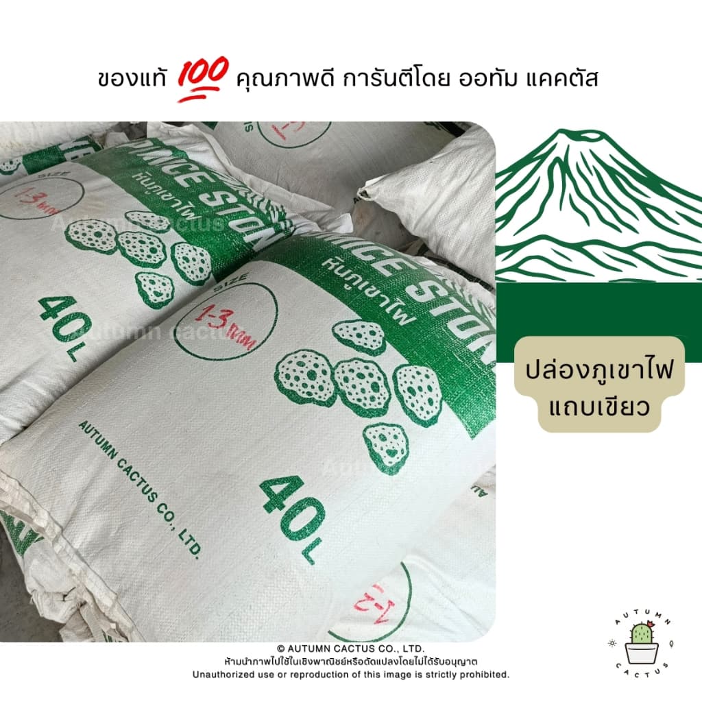 หินภูเขาไฟ Pumice Stone รองก้นกระถาง ผสมดินปลูก หินทำถุงหอม ถุงใหญ่ ขนาด 4ลิตร เบอร์00 เบอร์01 เบอร์02 XL - XXL รูปที่ 7