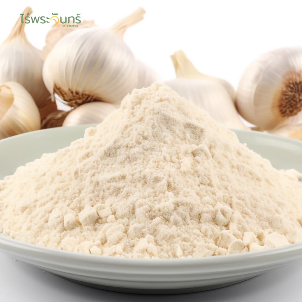ผงกระเทียม มีอย. แท้ ไม่ผสมแป้งและน้ำตาล แบรนด์ไร่พระจันทร์ ( Garlic powder กระเทียมผง กระเทียม กะเทียม กะเทียมผง ) รูปที่ 5