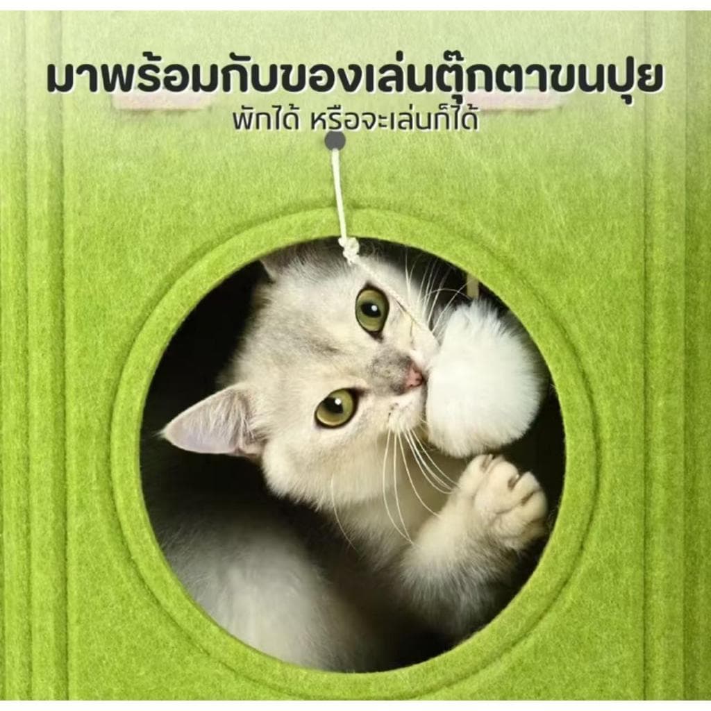 บ้านแมว คอนโดแมว บ้านมีรู 2ชั้น 3ชั้น คอนโดแมวทรงกระบอกดีไซน์ญี่ปุ่น แข็งแรงทนทาน สามารถปีนได้ รูปที่ 7