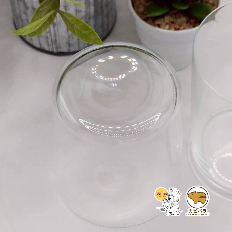 Kimura Glass รุ่น SOBA แก้วบางพิเศษ ทรงเตี้ย รูปที่ 7