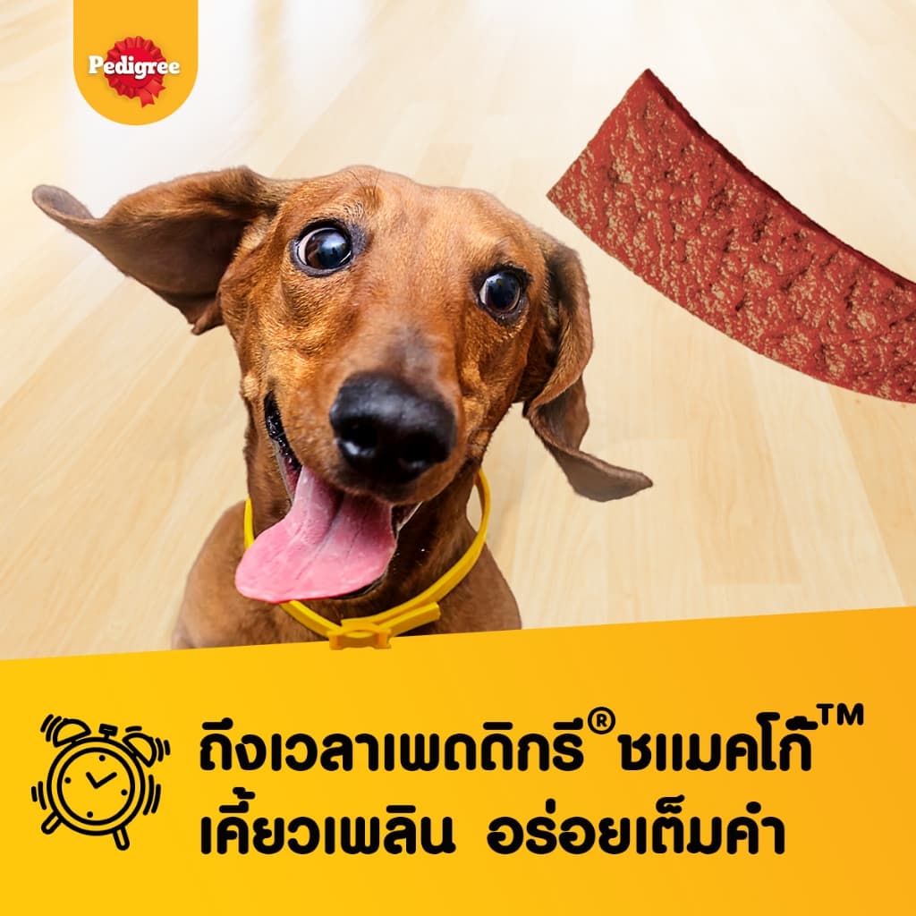 PEDIGREE SCHMACKOS เพดดิกรี ขนมสุนัข ชแม้กโก้ รสตับย่าง/เนื้อรมควัน 300ก. รูปที่ 2