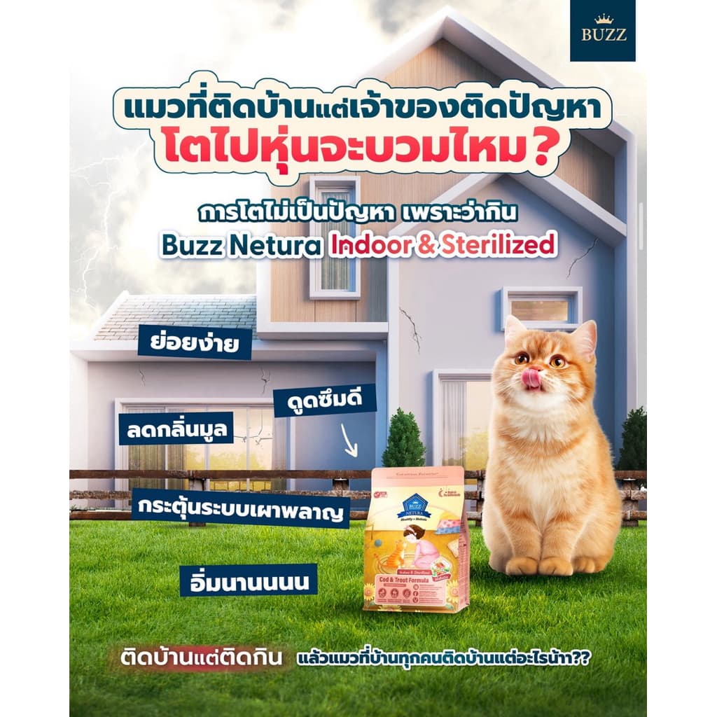 Buzz Netura Healthy Holistic Cat Food บัซซ์ เน็ททูล่า สูตรโฮลิสติกสูตรบำรุงสุขภาพบรรจุ 1kg, 4kg รูปที่ 8