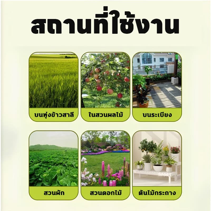 ไล่นกแรง เห็นผลทันที! เม็ดไล่นก กันนก ยาไล่นก ไล่นกกระจอก ไล่นกพิราบ ปลอดภัย ไร้สารพิษ รูปที่ 8