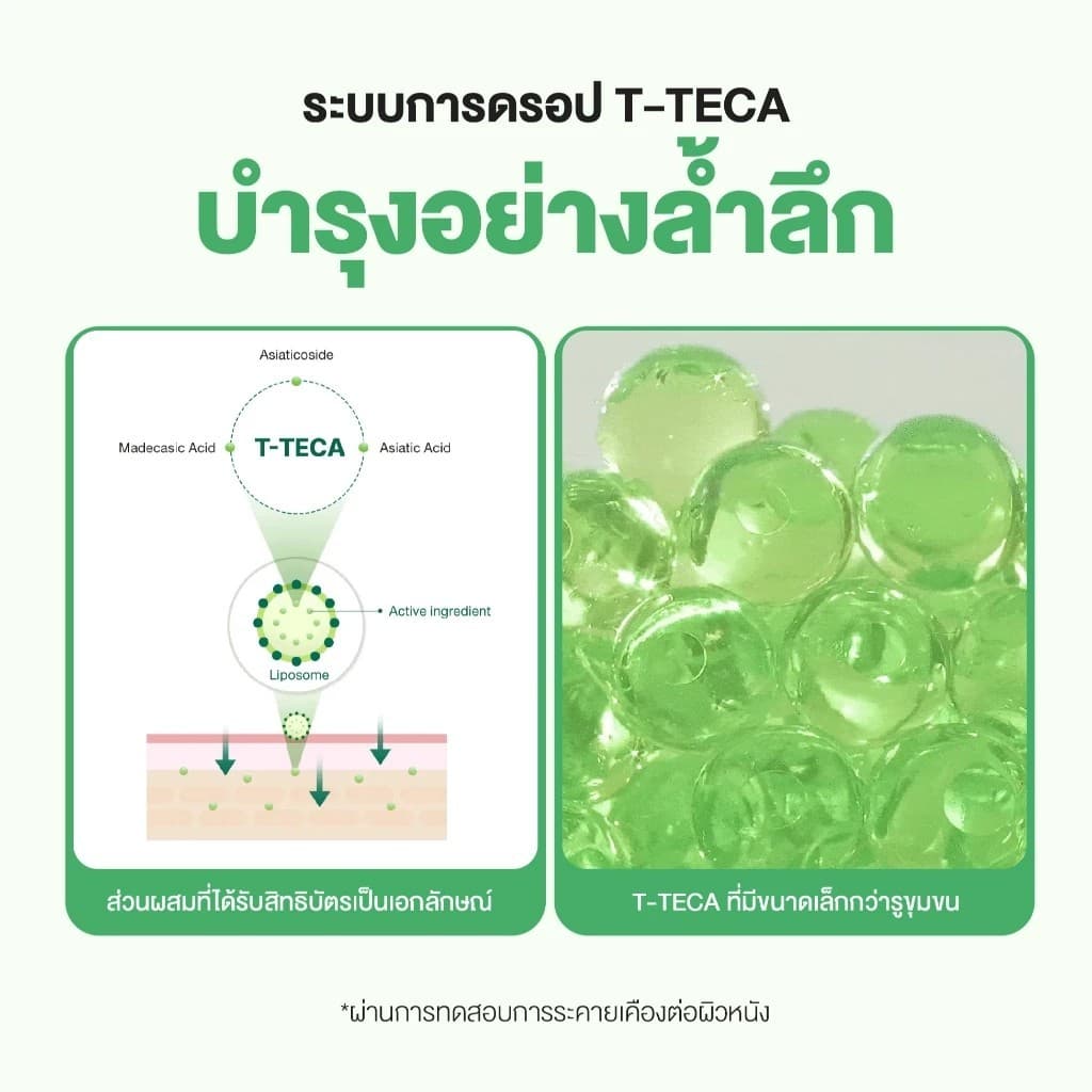 Torriden Balanceful Cica Control Serum 50ml. เซรั่ม Cica รูปที่ 7