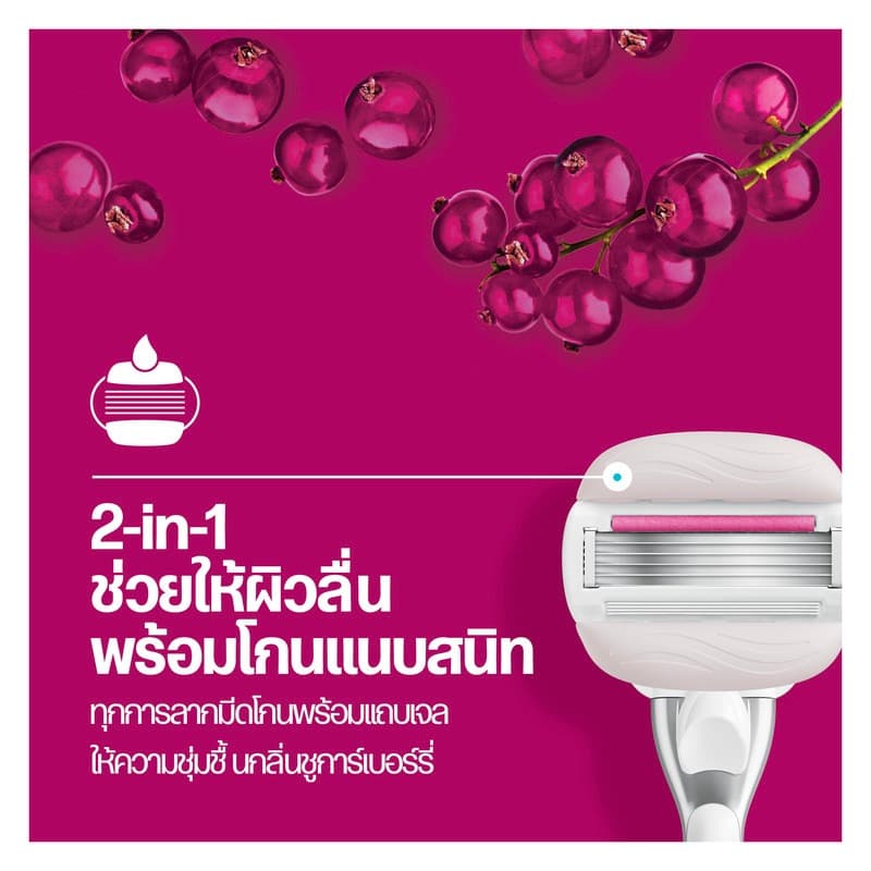 ยิลเลตต์ วีนัส ชูการ์เบอร์รี่ มีดโกน 1 ด้าม พร้อม 6 ชิ้น Gillette Venus Sugarberry Razor and 6 Blades รูปที่ 4