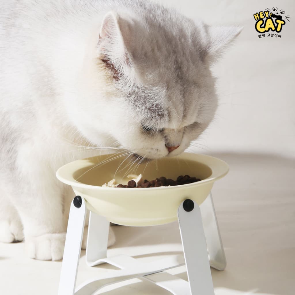 A Cute pet ชามแมวพร้อมขา ชามแมวเซรามิค ชามอาหารแมว แบรนด์เกาหลี ทำจากเซรามิคคุณภาพสูง ขนาดชาม 14 Cm. รูปที่ 6