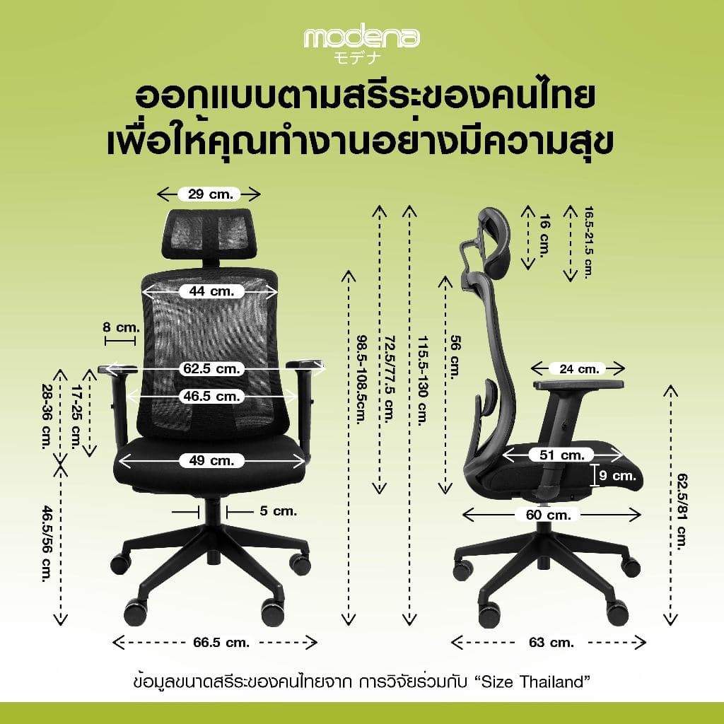 MODENA เก้าอี้เพื่อสุขภาพ รุ่น Support พนักพิง Self Weight รูปที่ 6