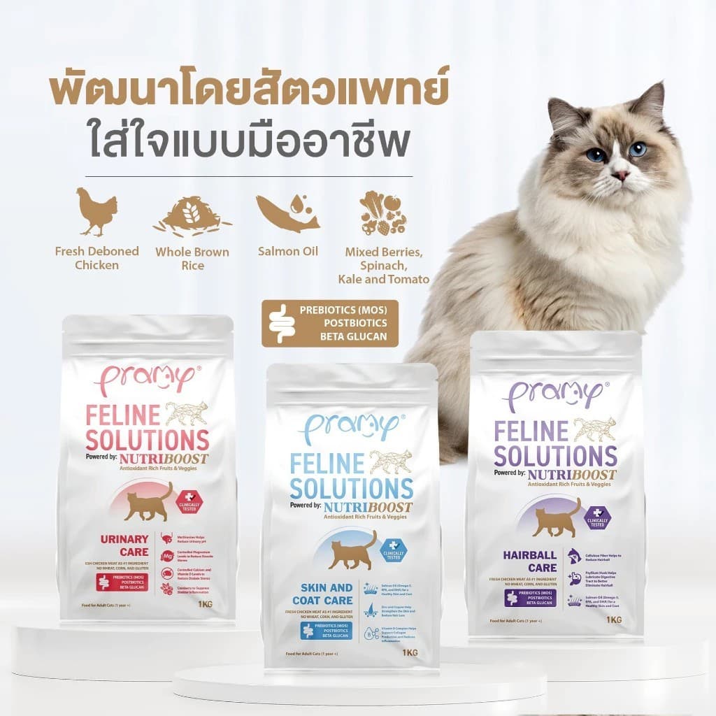 Pramy Feline Solutions อาหารแมวสูตรเฉพาะทาง พัฒนาโดยสัตวแพทย์ ตอบโจทย์น้องแมวที่มีปัญหาสุขภาพ รูปที่ 3