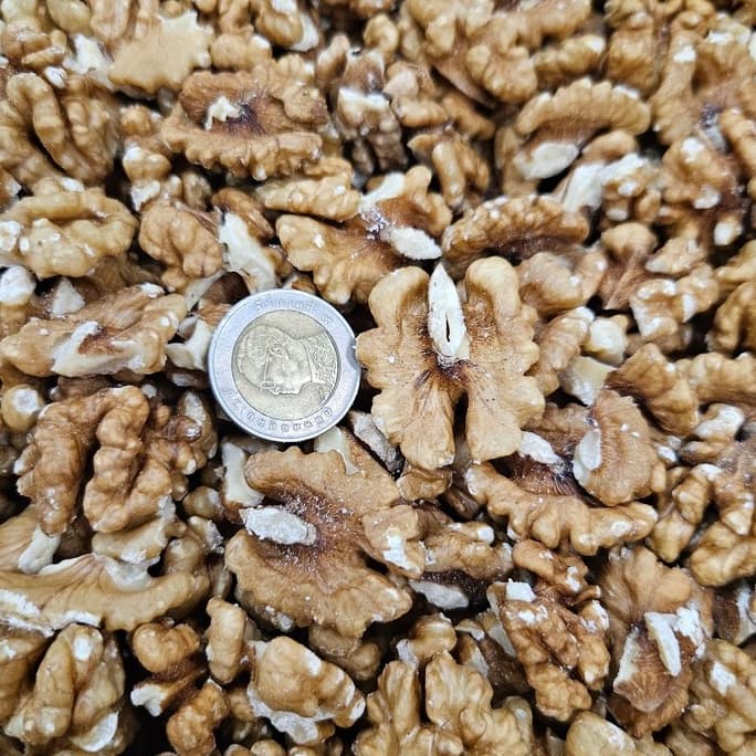 วอลนัทดิบ แบบเต็มเม็ด วอนัท Raw Walnuts Kernel Whole วอลนัทแกะเปลือก วอลนัทเนื้อล้วน รูปที่ 2