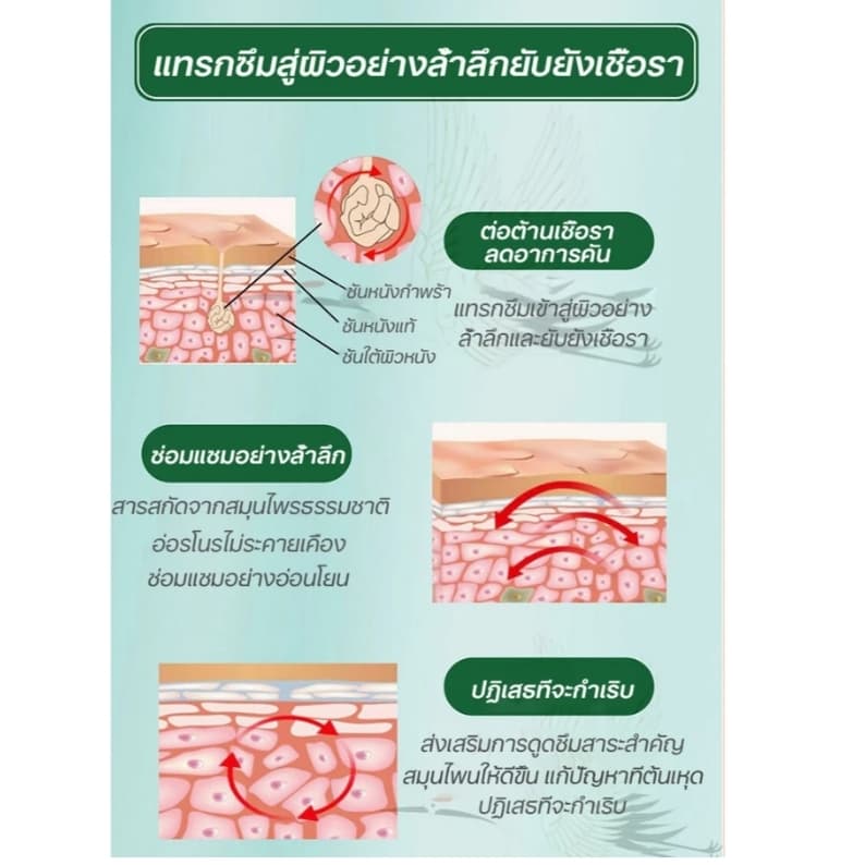 ครีมแก้คันผิว ลดผื่นคัน บรรเทาอาการคัน ฆ่าเชื้อรา ฟื้นฟูผิว เห็นผลไว 20G รูปที่ 8