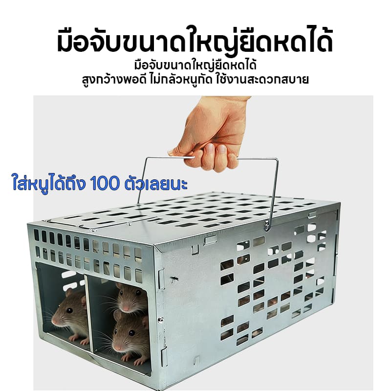 กับดักหนูสองประตู กับดักหนู กรงดักหนู ใหม่ อุปกรณ์ดักจับหนูที่มีประสิทธิภาพ กับดักและกำจัดหนูทรงพลัง แบบจับต่อเนื่องได้ รูปที่ 4