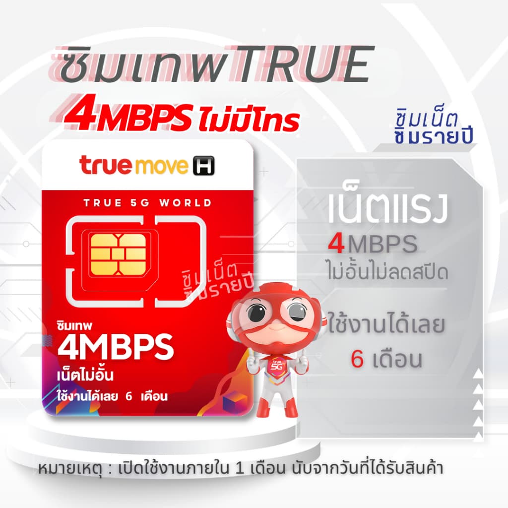ซิมเทพไม่มีโทร เน็ตไม่อั้น ซิมเน็ตรายปี ซิมเทพ ซิมเทพทรู ซิมรายปี ซิมเน็ต รูปที่ 3