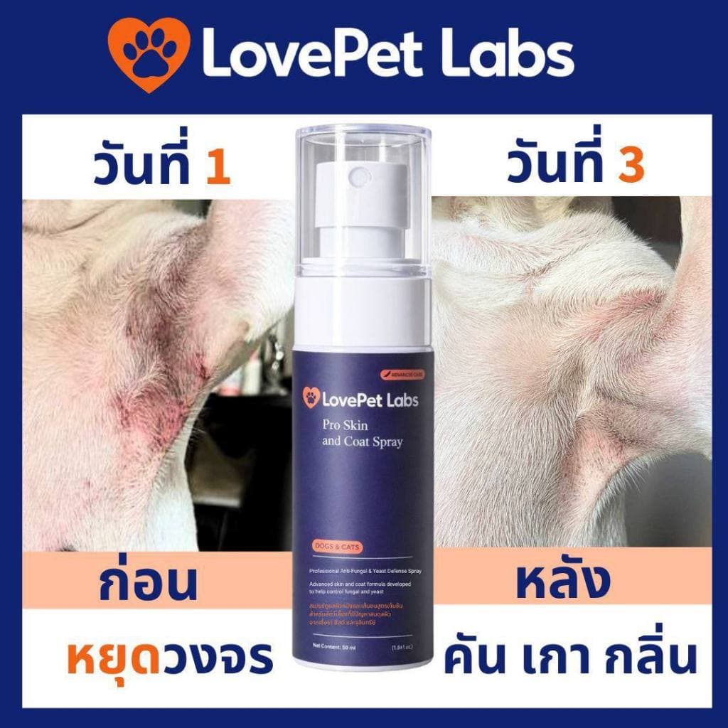 สเปรย์เชื้อราสุนัขและแมว ช่วยลดแบคทีเรีย ยีสต์ คันเกาผื่น แผล ผิวแดง ดับกลิ่นเหม็น สูตรนาโนเข้มข้น ส่งด่วน [50ml]