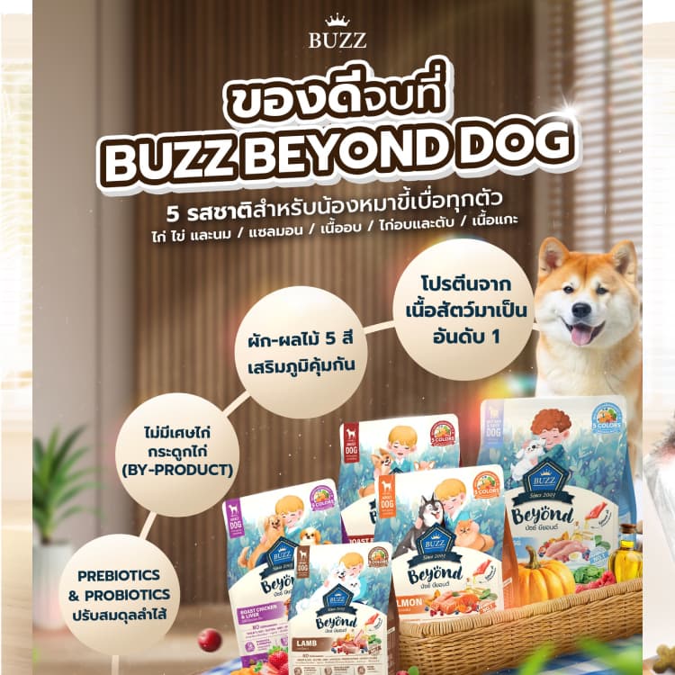 { ล็อตใหม่ } Buzz Beyond อาหารสุนัข บัซซ์ บียอนด์ หมาโต ลูกหมา แซลมอน เนื้อ ไก่ตับ แกะ ขนาด 1 - 1.2 กิโลกรัม รูปที่ 2