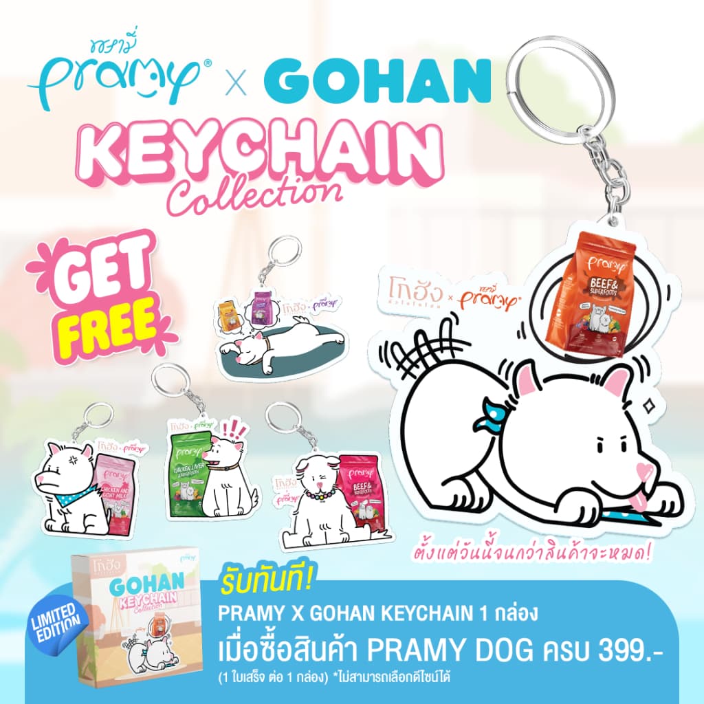 [สินค้าแถม] Pramy x Gohan Keychain (แบบสุ่มดีไซน์)