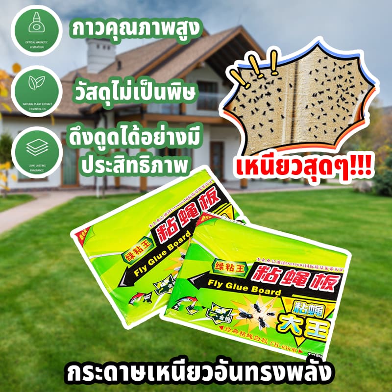 กาวดักแมลงวัน ที่ติดแมลงวัน กาวดักแมลงวัน100 กาวดักแมงวัน แผ่นดักแมลงวัน ดักแมลงวัน ที่ดักแมลงวัน ใช้งานง่าย กาวเต็มแผ่น รูปที่ 2