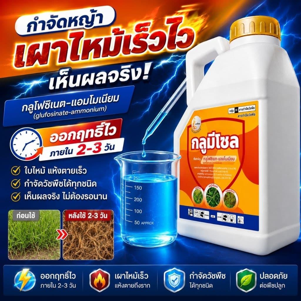 กลูมีโซล 4ลิตรสูตรเผาไหม้ไว เห็นผลจริง กำจัดหญ้าได้อยู่หมัด! รูปที่ 1