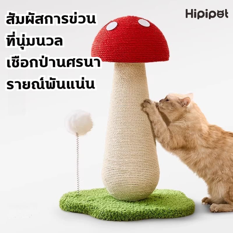 ที่ลับเล็บแมว คอนโดแมว บ้านแมว ลับเล็บแมว กล่องแมว เตียงแมวสามารถรองรับแมวได้ 3-4 ตัว คอนโดแมว บ้านลับเล็บแมว กล่องแมว รูปที่ 9