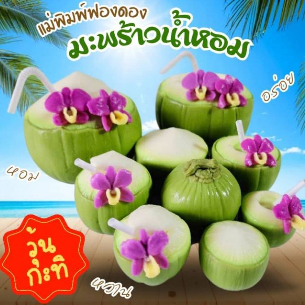 แม่พิมพ์ฟองดอง สำหรับทำขนม วุ้น เค้ก ช็อกโกแลต ขนมต่างๆ รูป รวมมะพร้าวน้ำหอม รูปที่ 1