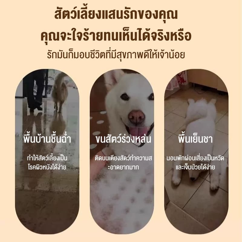 OH เตียงสัตว์เลี้ยง รับน้ำหนัก 200kg ผ้าตาข่าย ระบายอากาศป้องกันความชื้น ที่นอนหมา เตียงแมว เตียงสุนัขใหญ่ รูปที่ 2