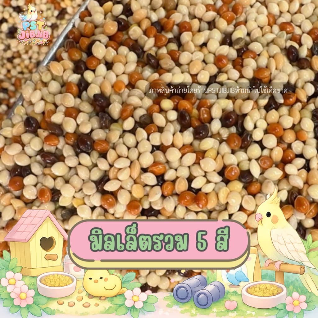 อาหารนกเขาเล็ก มิลเล็ตรวม 5 สี ปริมาณ 1kg. รูปที่ 1